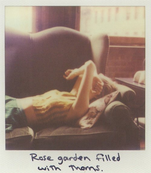 Taylor Swift — Polaroids — photo 6