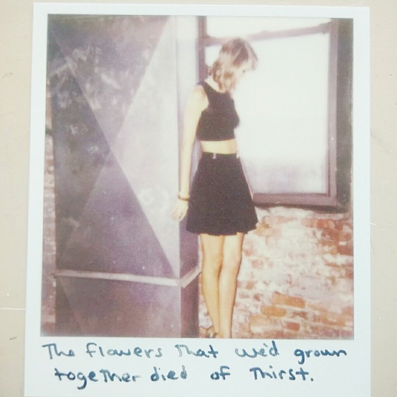 Taylor Swift — Polaroids — photo 52
