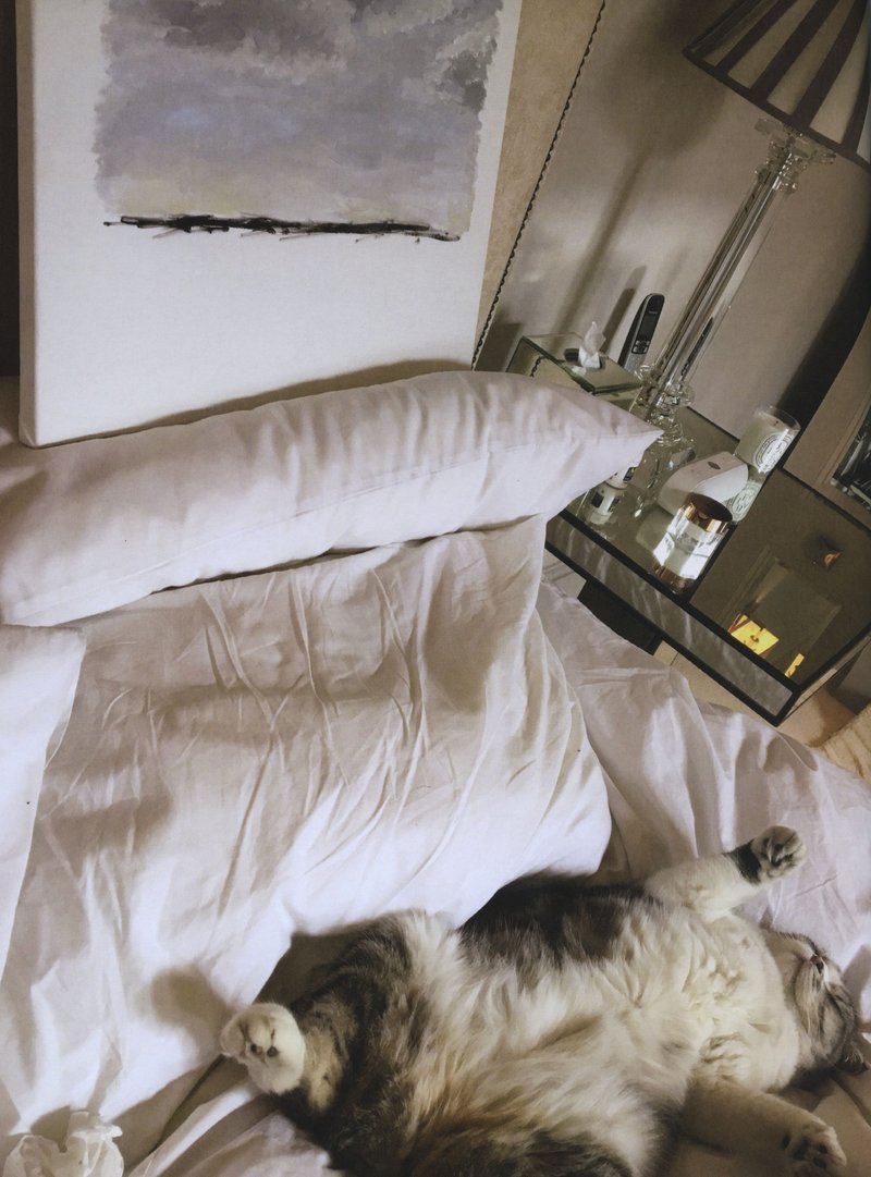 Taylor Swift — reputation volume 1 — photo 25