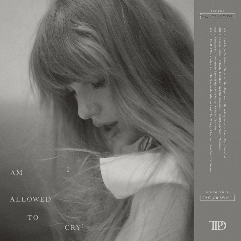 Taylor Swift — File Name: The Albatross — photo 2