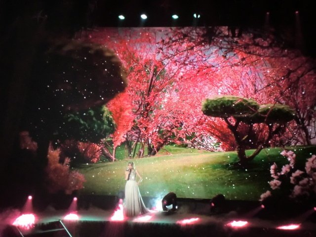 Taylor Swift — February 17 - Tokyo, Japan — photo 55