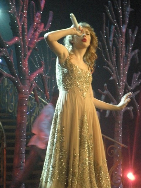 Taylor Swift — November 16 - Charlotte, North Carolina — photo 56