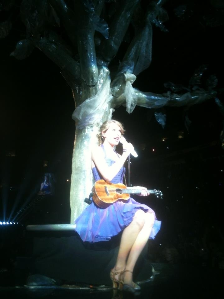 Taylor Swift — November 17 - Raleigh, North Carolina — photo 125