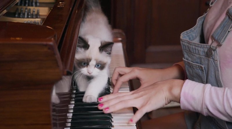 Taylor Swift — Screen Captures — photo 3