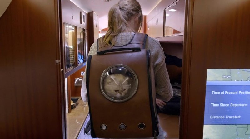Taylor Swift — Screen Captures — photo 356