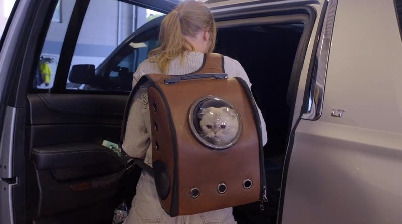 Taylor Swift — Screen Captures — photo 357