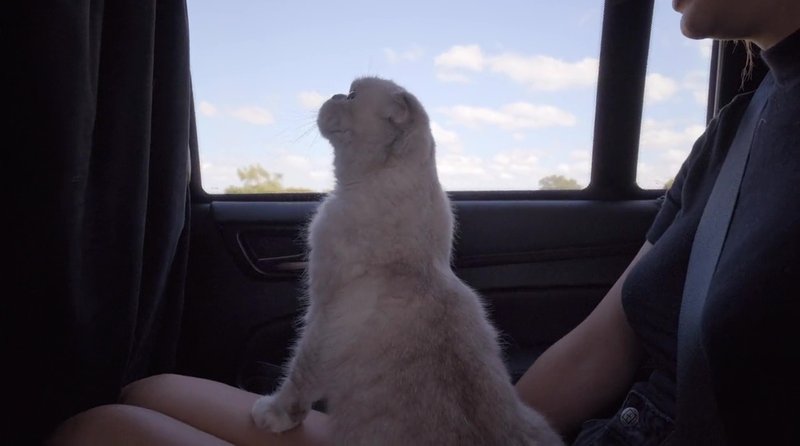 Taylor Swift — Screen Captures — photo 361