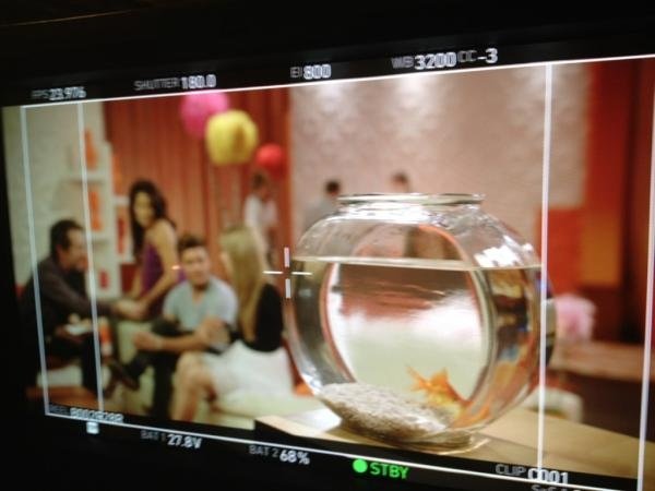 Taylor Swift — Behind the Scenes — photo 4